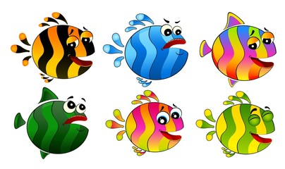 little colorful tropical fish