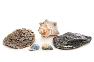 Strandfundstücke © womue