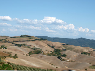 Tuscany, landscape in San Gimignano surroundings