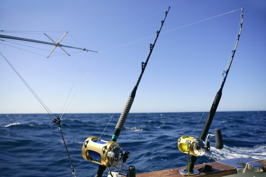 Deep Sea Fishing Rod Reel Rod Stock Photo 1197139429