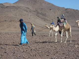 Touareg