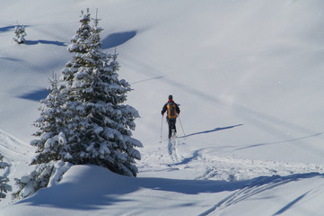 ski de randonn&eacute;e