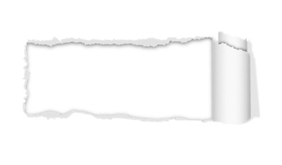 Sheet of torn paper in vector