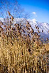 Fototapeta premium Lac du bourget