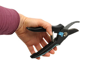 Obraz premium Hand mit Astschere