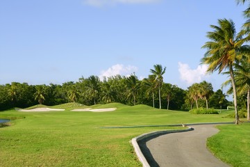 Miami Key Biscayne Golf tropical field © lunamarina