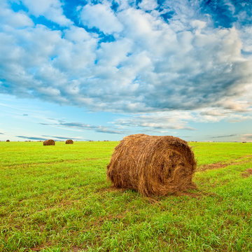 hay roll on field