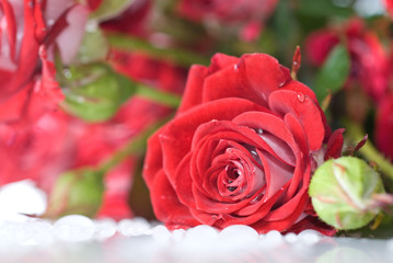 red rose bouquet