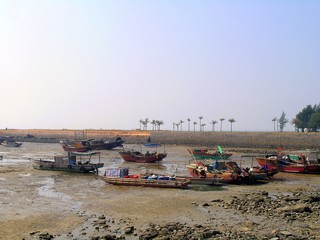 Obraz premium small harbor during low tide