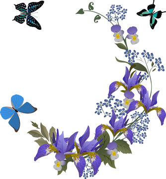iris curl and blue butterflies