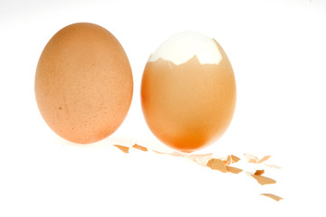 eggs