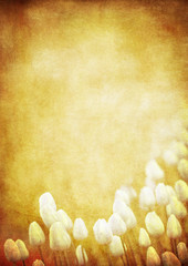 grunge floral background with space for text or image