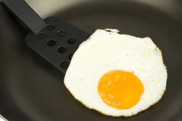 fried egg