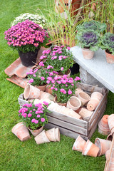 Garden pots
