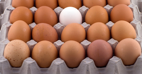 Background from eggs.