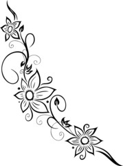 Obraz na płótnie Canvas Wandtattoo, Blumen, Blüten, Ranke, floral, filigran