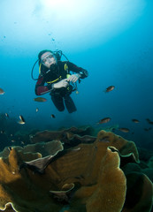 woman scuba diver swimming in clear  coral structure