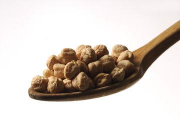 Ceci - Cicer arietinum