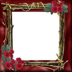 encadrement bois et roses