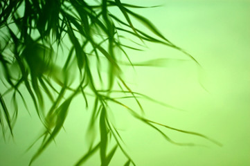 Abstract background with leaf silhouettes