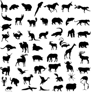 Various wild animals silhouettes