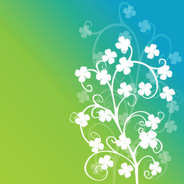Clovers foliage on green background