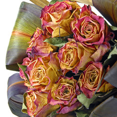 Fleurs séchées