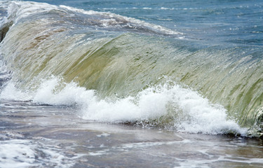 Fototapeta premium Sea surf wave (nature background)