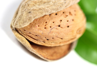 Almond on white background