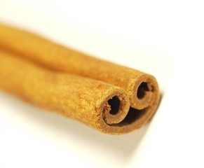 Cinnamon bark isolated on a white background