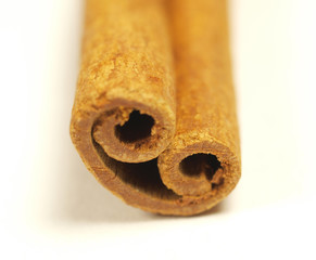 Cinnamon bark isolated on a white background.