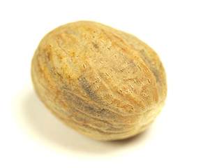 Nutmeg on white background