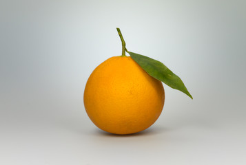 Orange vor Verlauf