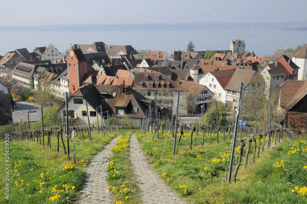 Poster Feldweg und Obertor in Meersburg