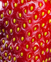 The texture of strawberries.