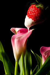Tasty Seduction