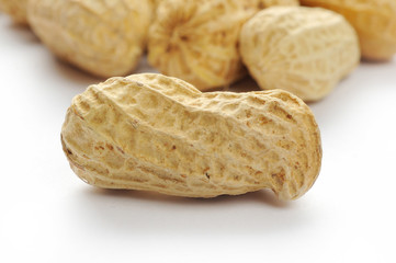 peanut close up or macro white back ground