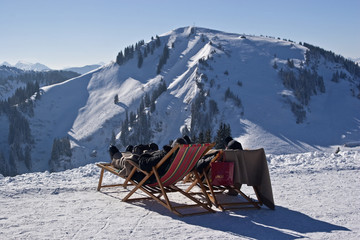 Winterliches  Sonnenbad