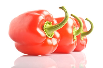 isolated bell pepper paprika
