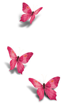 Three pink decorative paper butterflies isolated on white