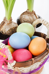 Colorful Easter Eggs with flowers.
