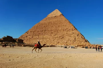 Foto op Canvas Camelliere alla piramide di Chefren © gpiras