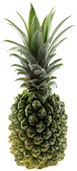 Fototapeta premium ananas 