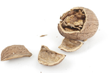 walnut