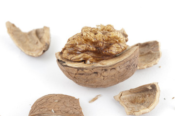 walnut