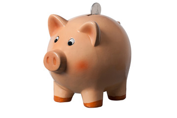 Piggy Bank with coin in slot