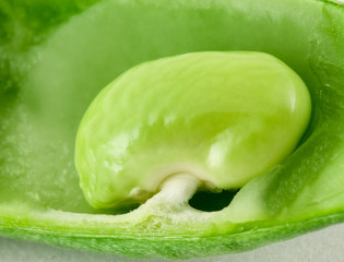 Green pod