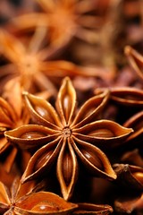Sternanis