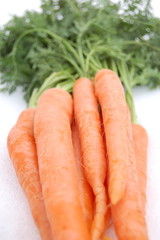 Marchew na śniegu © Darios