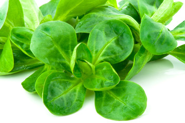 Corn Salad/Feldsalat